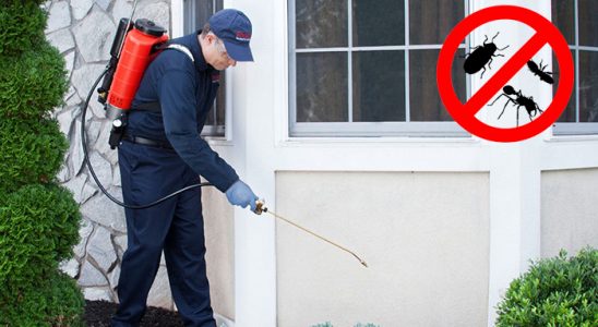 Zonguldak Böcek ve Haşere İlaçlama böcek ilaçlama ve haşere kontrolü — ilaclama-tr.com